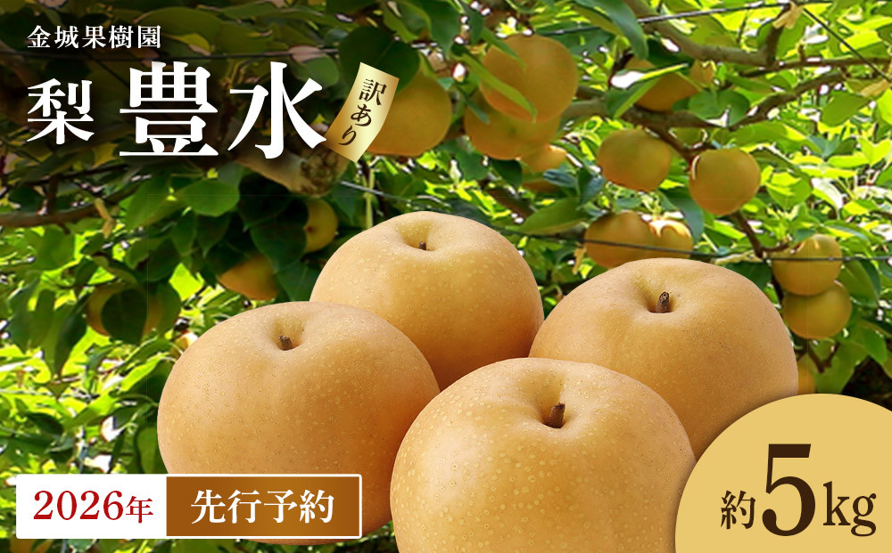 【訳あり／2026年先行予約】金城果樹園　梨「豊水」約5kg（8～14玉入）2026年9月初旬～順次発送