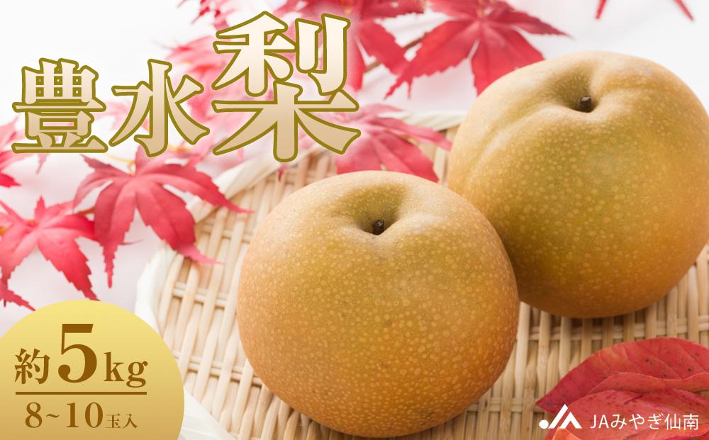 【JAみやぎ仙南】梨「豊水」約5kg (8～10玉入)