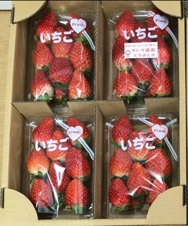 【角田市産地直送】完熟いちご「とちおとめ」合計約1kg（250g×4パック）