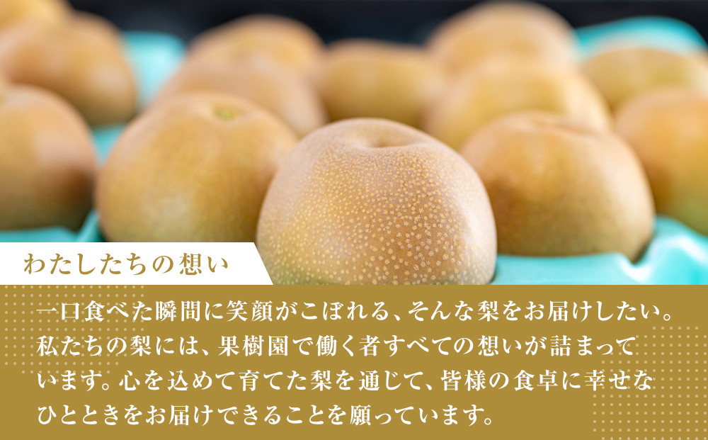 ã2026幎çºéå å
è¡äºçŽããæ¢šã®å®æäŸ¿ïŒå
š2åçºéã忢š2ã«æé£ç¶ãå±ã 5kgïŒåçš®ããŸããïŒ