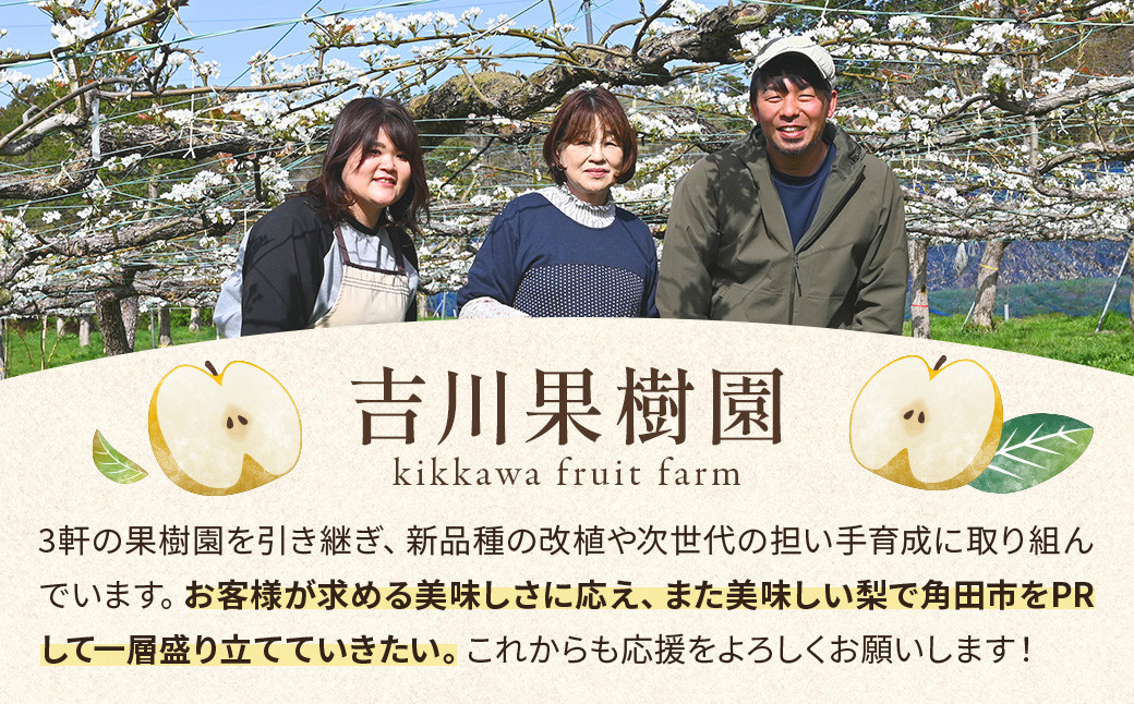 【先行予約（2026年発送分）】【訳あり】旬の和梨　約５kg【吉川果樹園】｜梨 ナシ こだわりの梨 フルーツ 果物 旬の梨 宮城県角田市 約5kg