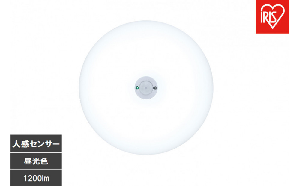 LED小型シーリングライト 人感センサー付 　昼光色 SCL12D-MS-U2