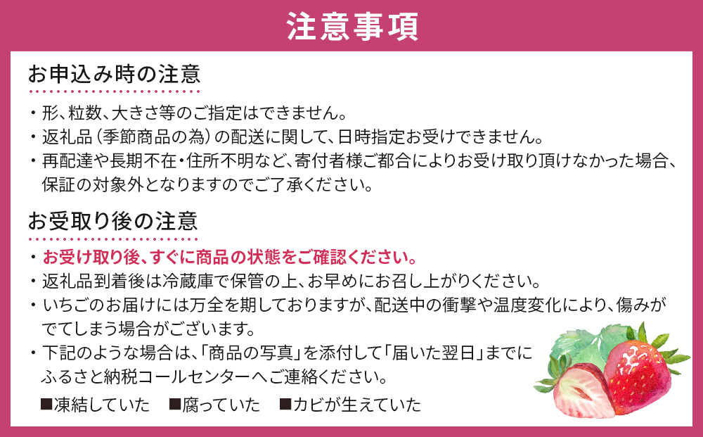 【先行予約】【角田市産地直送】朝摘みいちご「とちおとめ」合計約500g（250g×2パック）【2025年12月下旬以降順次発送】