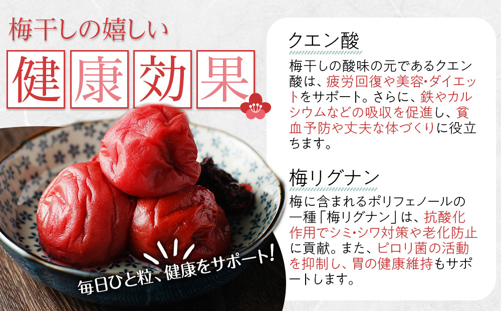 【2026年1月下旬より発送】梅干し しそとうめ 低塩約12％ 100ｇ 6パック入り 限定200個