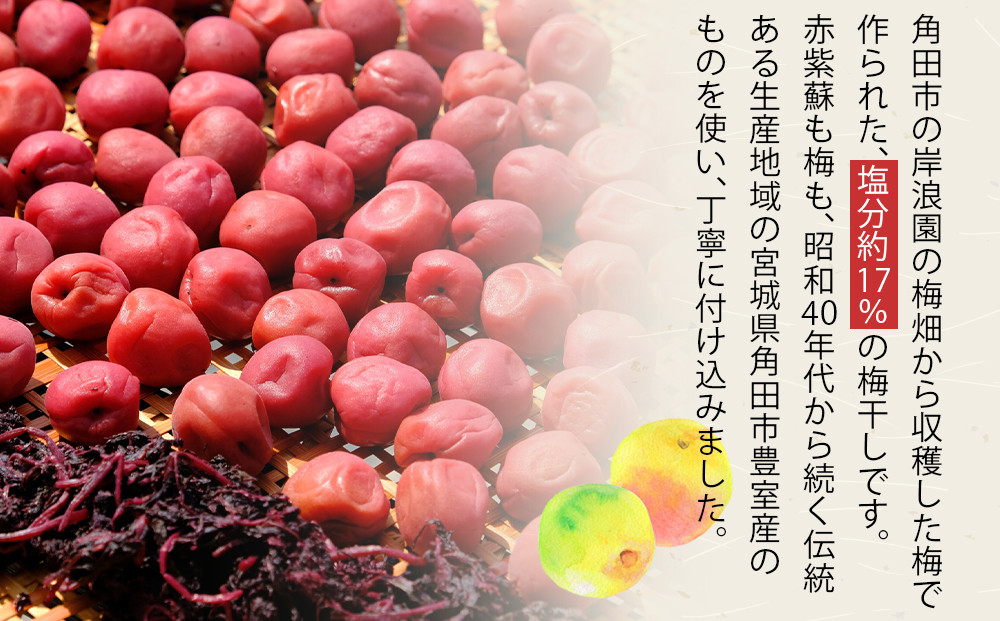 è§ç°åž å²žæµªå æ¢
å¹²ã 300ïœ 12ããã¯å
¥ã 300åéå®