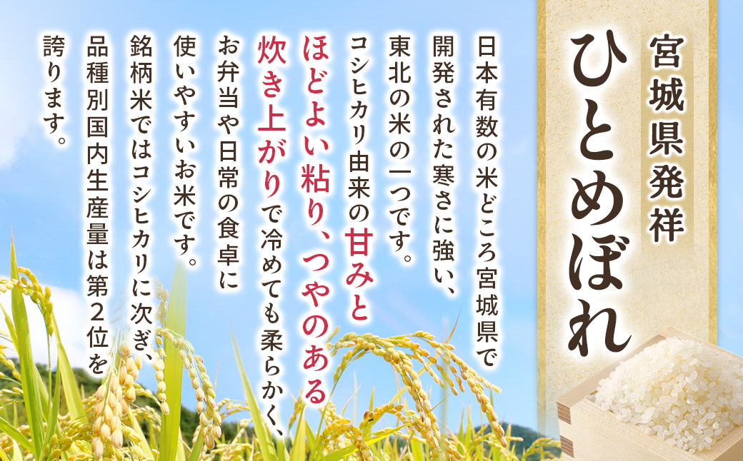 【令和7年産】宮城県産ひとめぼれ【無洗米】　5kg×1袋