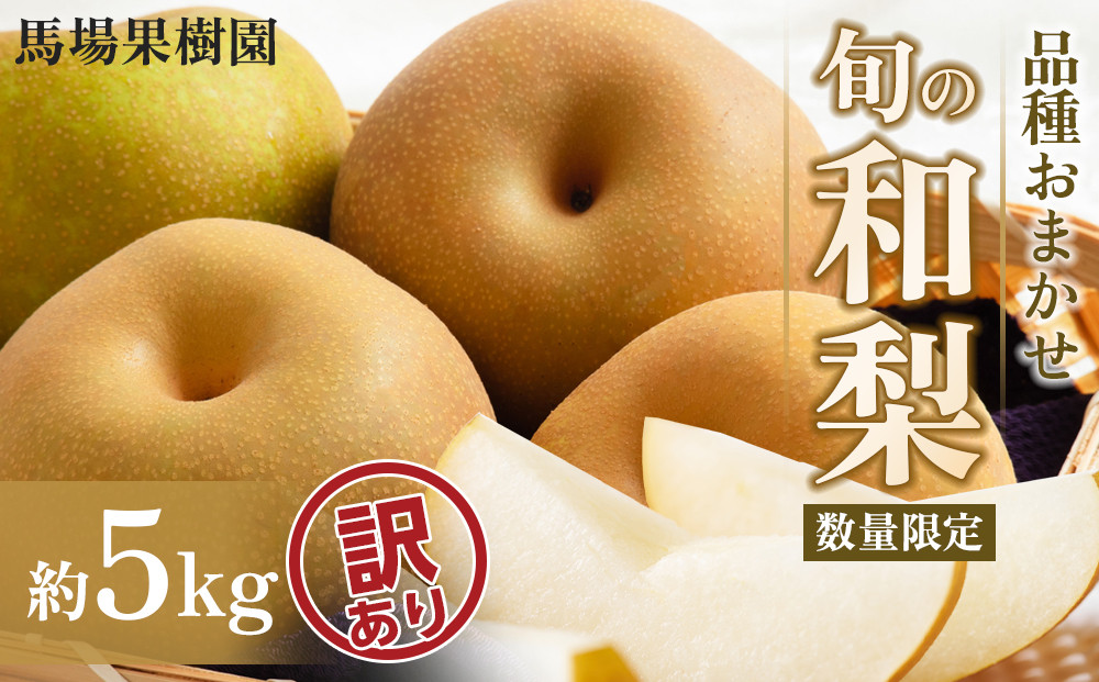 【2026年先行予約／訳あり】【馬場果樹園】品種おまかせ 旬の和梨 約5kg 8月中旬～順次発送