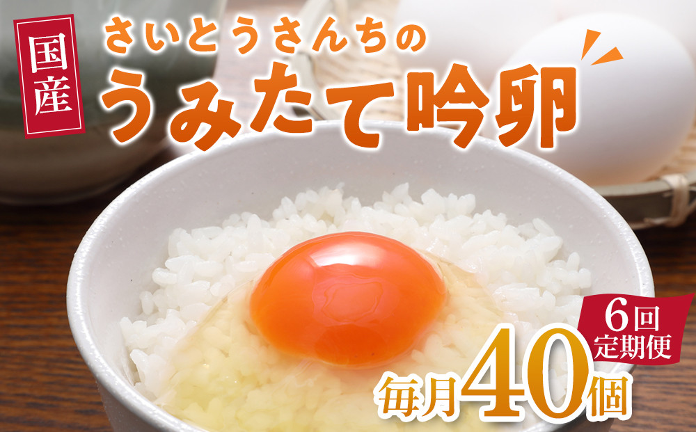 【6回定期便】さいとうさんちのうみたて吟卵　40個入り