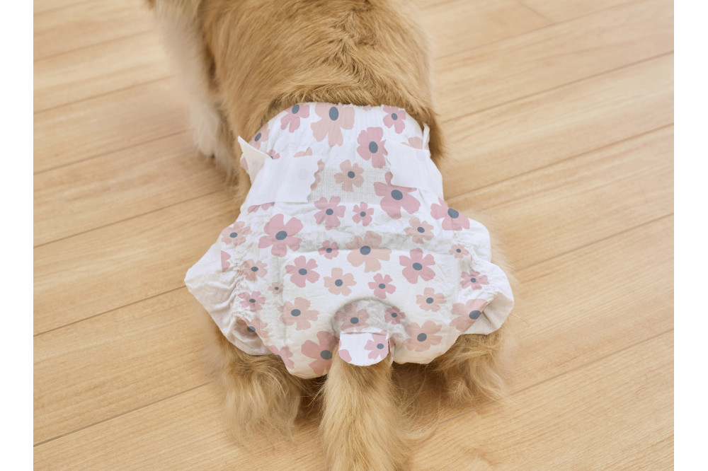 【38枚入り×6袋】ペット用おむつ　ピタフィット　ＸＳ　３８枚入　女の子用　NPD-XS38