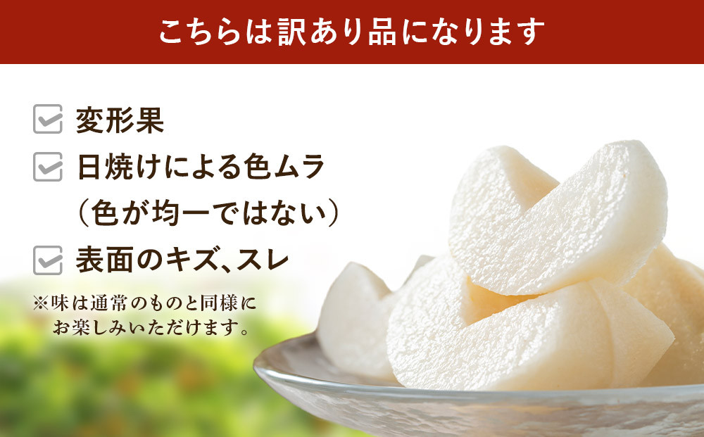 【訳あり／2026年先行予約】金城果樹園　梨「あきづき」約5kg（8～14玉入）2026年9月中旬～順次発送