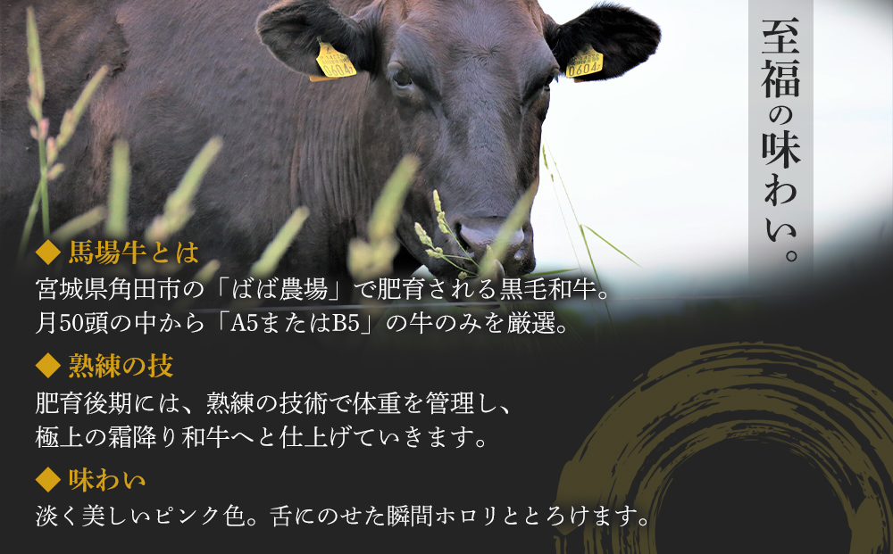 【馬場牛】宮城県産黒毛和牛100％ プレミアムハンバーグ 12個セット 牛肉100%