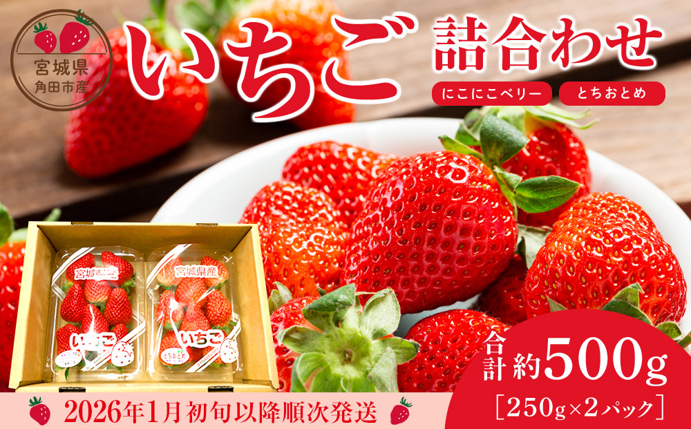 【先行予約】【JAみやぎ仙南】宮城県角田市産いちご　にこにこベリー・とちおとめ詰合せ　合計約500g（250g×2パック）