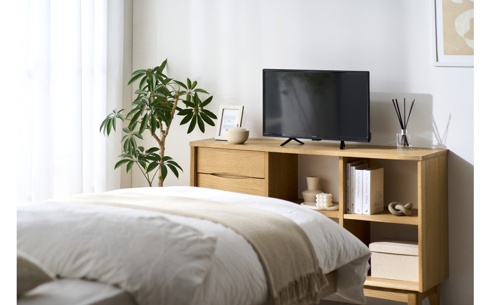 チューナーレスTV 24V型 LTL-24WG-F1 ブラック