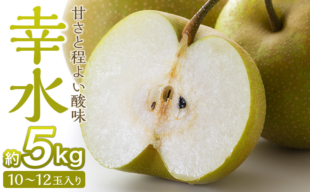 梨「幸水」約5kg（10～12玉入）【松崎果樹園】
