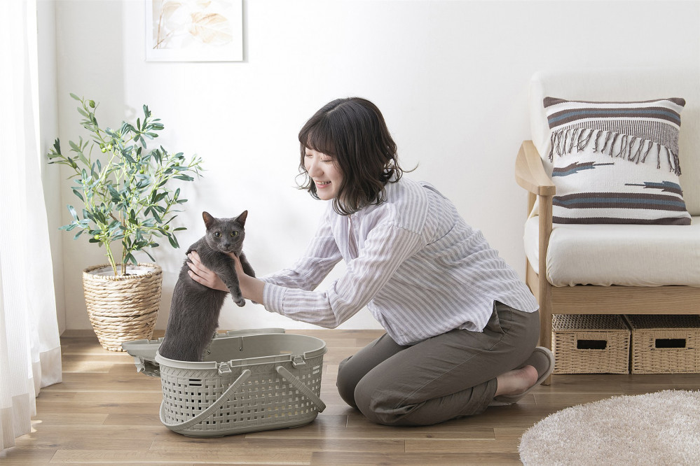 メッシュペットキャリー MPC-450 ライトグレー