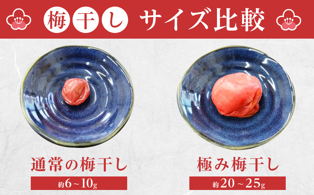 角田市 岸浪園 極み梅干し 塩分約17％ 100ｇ×12パック 限定100個