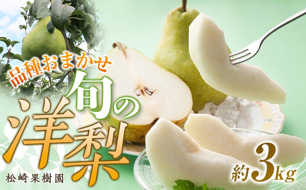 品種おまかせ旬の洋梨 約3kg【松崎果樹園】