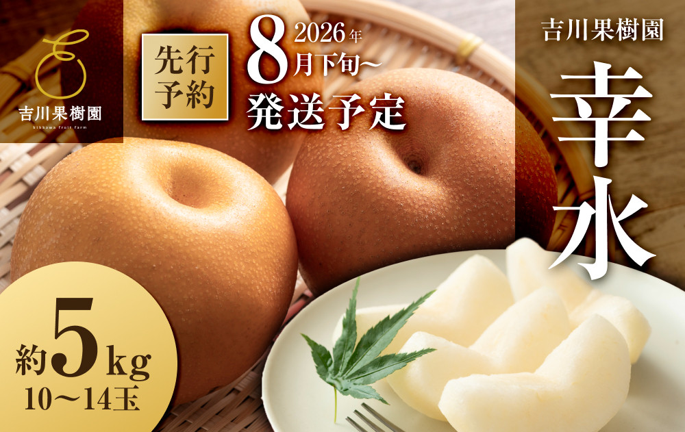 【2026年分先行予約】 梨 幸水 約５kg（10～14玉）8月下旬～順次発送【吉川果樹園】 ｜ 梨