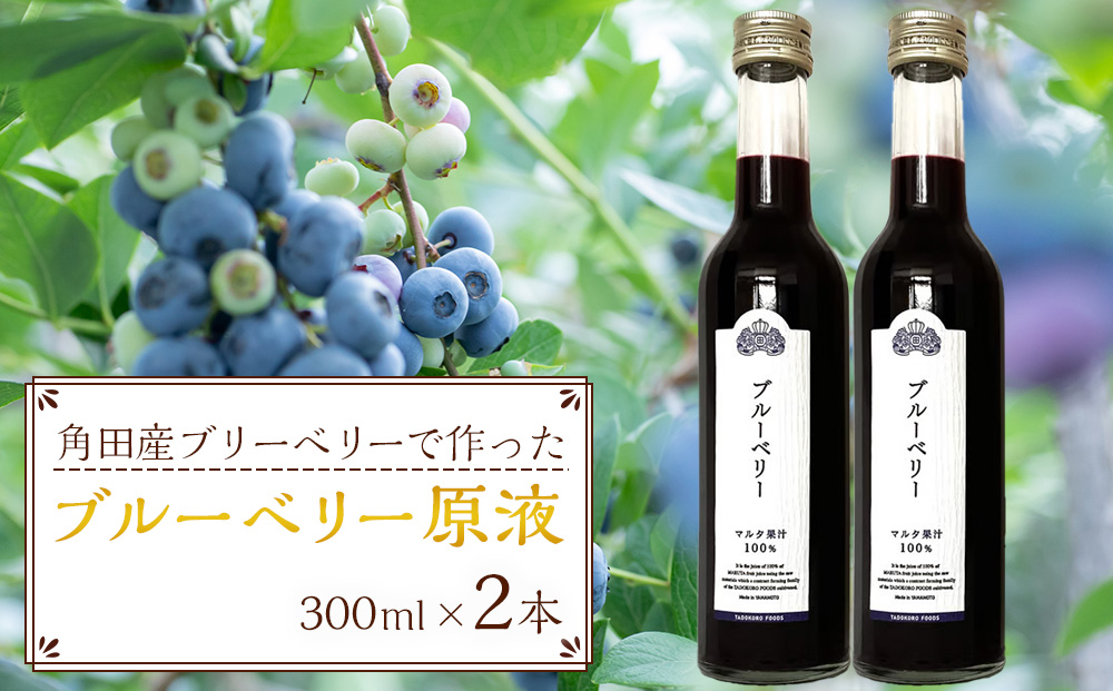 ブルーベリー原液　300ml×2本詰