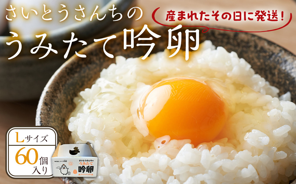 さいとうさんちのうみたて吟卵　60個入り