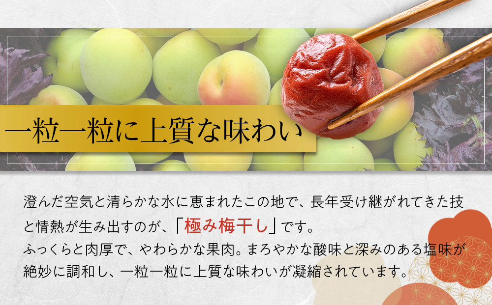 角田市 岸浪園 極み梅干し 塩分約17％ 100ｇ×12パック 限定100個
