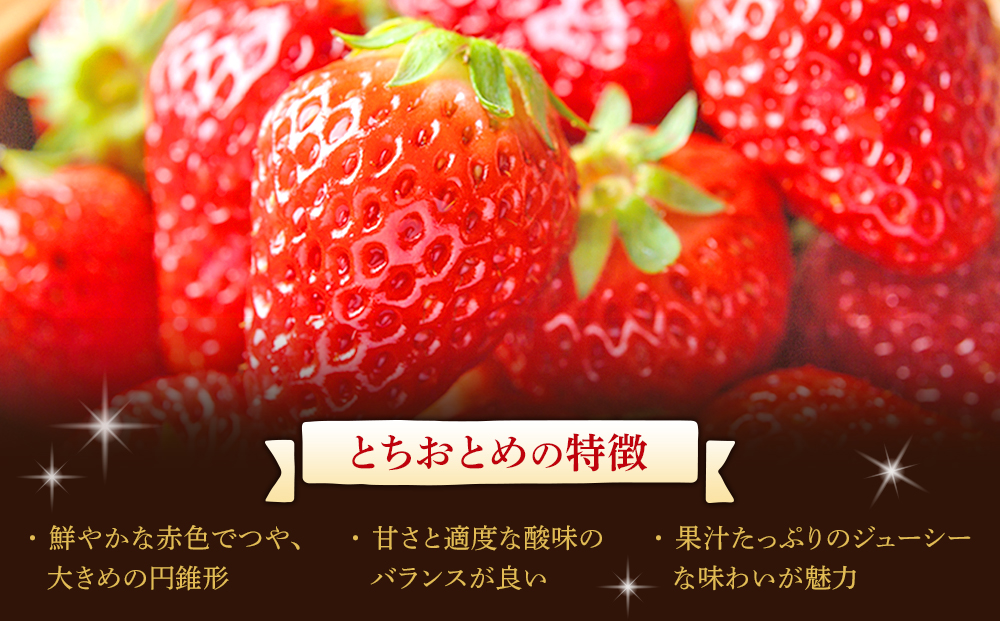【角田市産地直送】朝摘みいちご「とちおとめ」合計約1kg（250g×4パック）