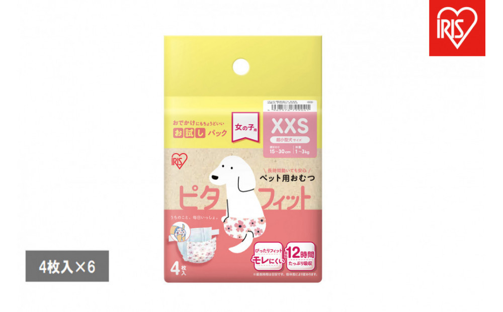 ã4æå
¥Ã6åããããçšãã〠ãã¿ãã£ãã  女ã®åçš FNPD-XXS4