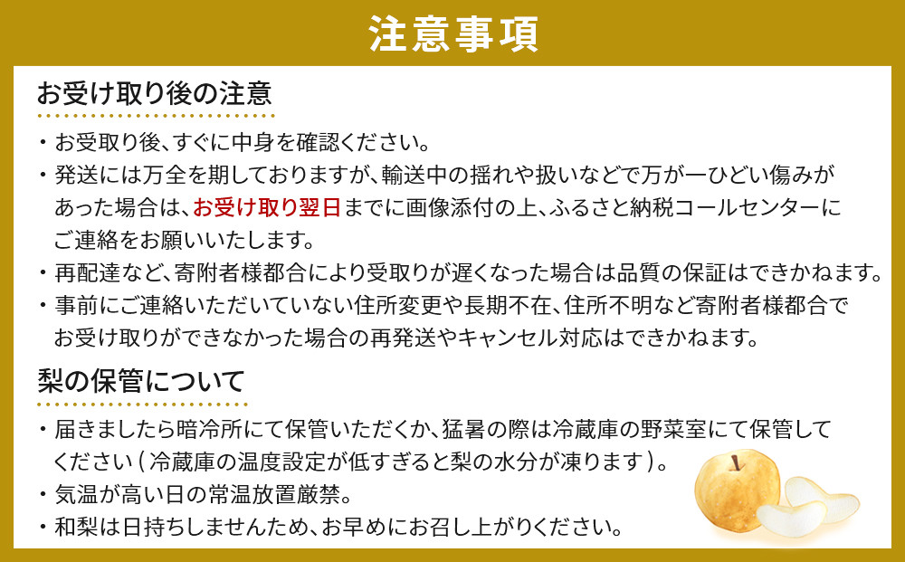 【2026年発送／先行予約】梨「豊水」約3kg（5～6玉入）【松崎果樹園】