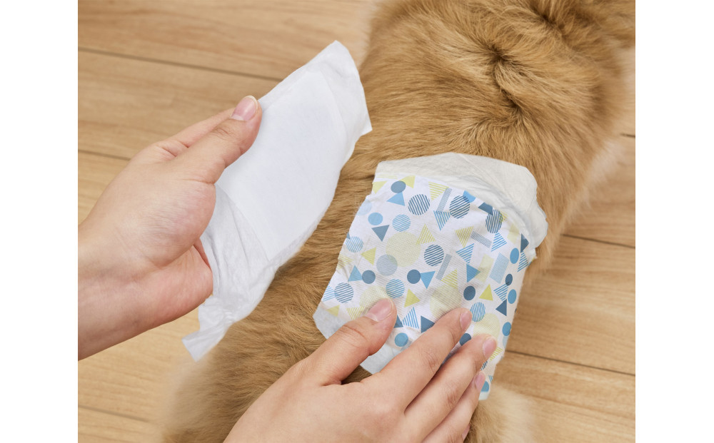 ã4æå
¥Ã6åããããçšãã〠ãã¿ãã£ãã  ç·ã®åçš MNPD-XS4