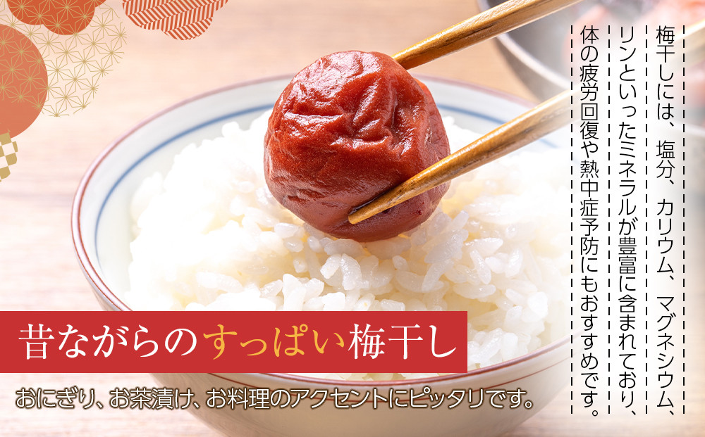 【2026年1月下旬より発送】梅干し 100g 6パック入り 限定300個