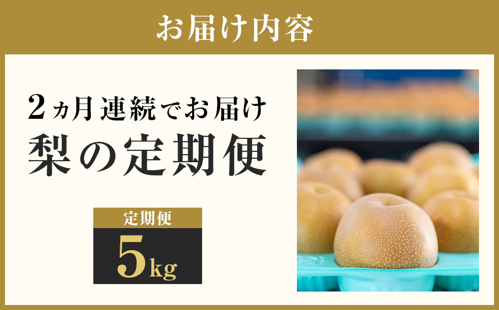 ã2026幎çºéå å
è¡äºçŽããæ¢šã®å®æäŸ¿ïŒå
š2åçºéã忢š2ã«æé£ç¶ãå±ã 5kgïŒåçš®ããŸããïŒ