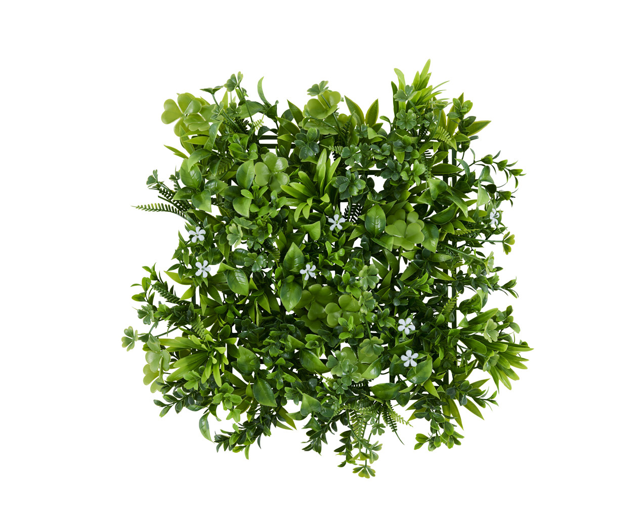 シ、シ・シ」シッ シァシイシ・シ・ショ 繧ヲ繧ゥ繝シ繝ォ繝代ロ繝ォ WG-50M 繝翫メ繝・繝ゥ繝ォ繝溘ャ繧ッ繧ケ 3蛟九そ繝繝