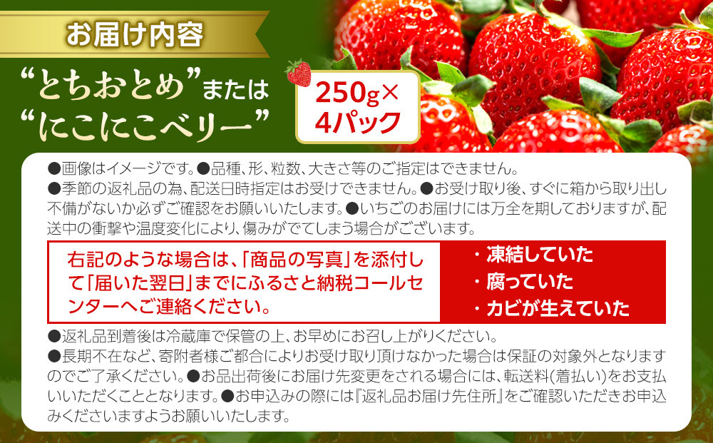 OneBerry いちご農園 品種おまかせ 旬のいちご 250ｇ× 4パック【2026年1月5日以降順次発送】 ｜ いちご イチゴ 苺 宮城県 限定 産地直送 産直 農家直送