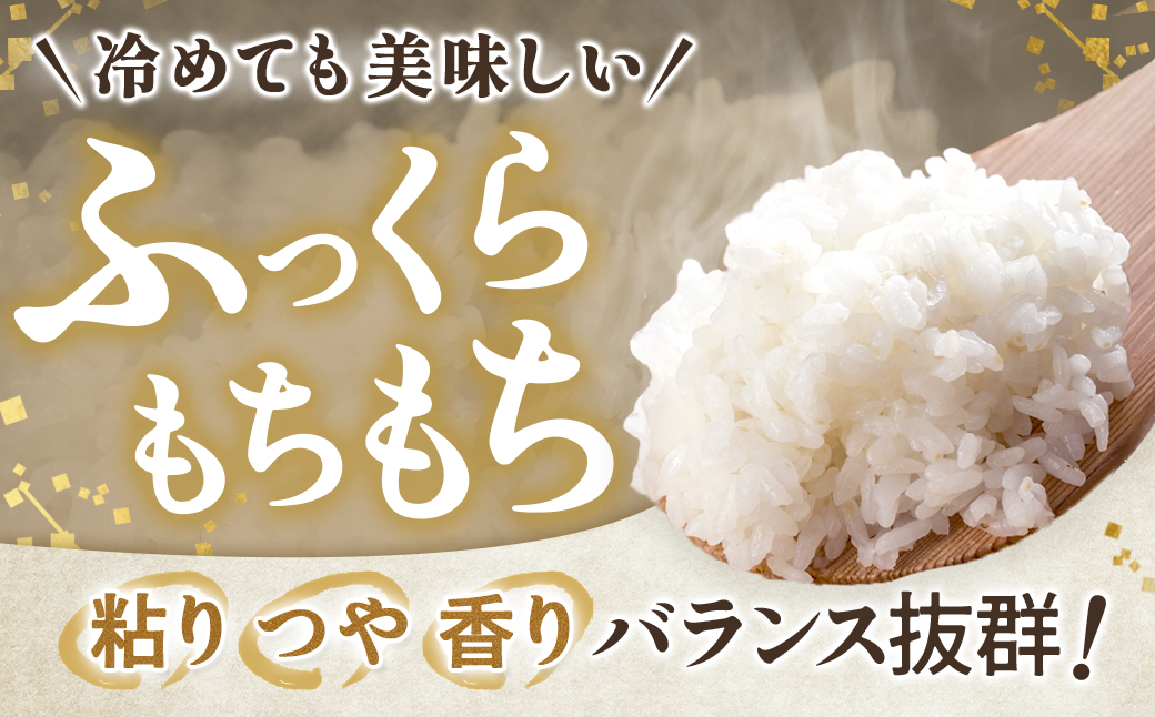 【令和7年産】宮城県産ひとめぼれ【無洗米】　5kg×1袋