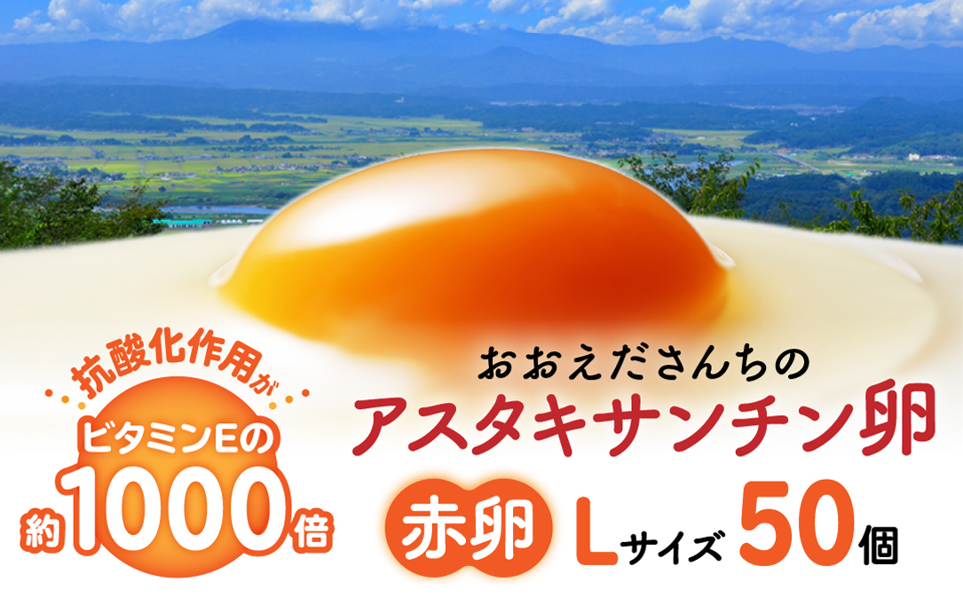 おおえだファーム 御皇卵 アスタキサンチン卵（赤卵）Lサイズ 50個入り
