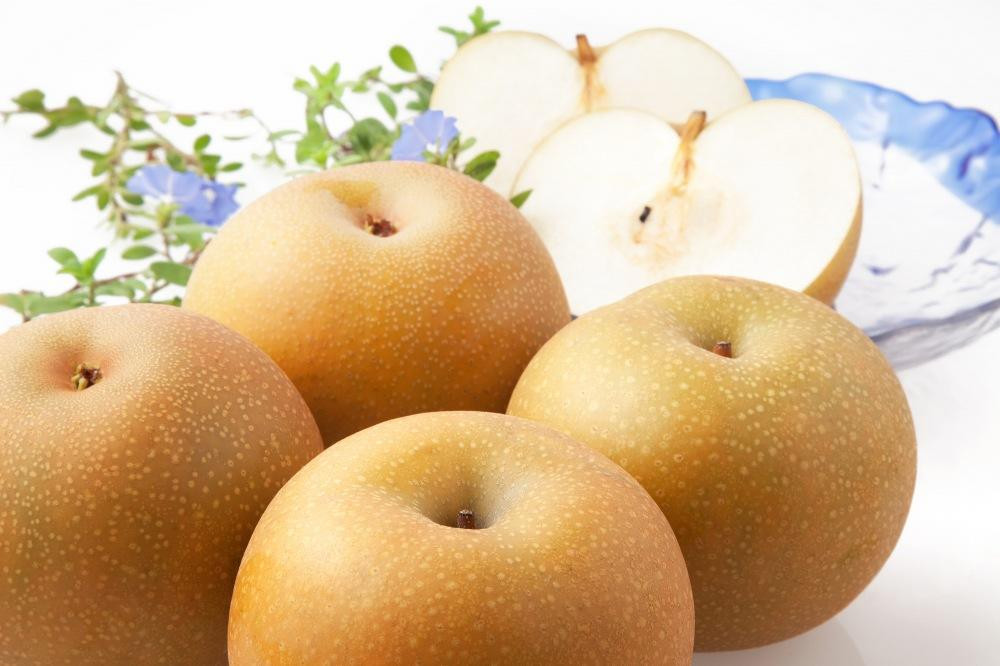 ã2026幎çºéïŒå
è¡äºçŽã梚ãããã¥ããçŽ4kgïŒ6ïœ8çå
¥ïŒãæŸåŽææš¹åã