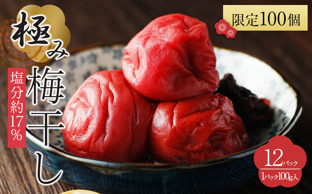 【2026年2月下旬より発送】極み梅干し 塩分約17％ 100ｇ 12パック入り 限定100個