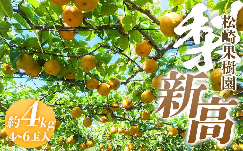【2026年発送／先行予約】梨「新高」約4kg（4～6玉入）【松崎果樹園】