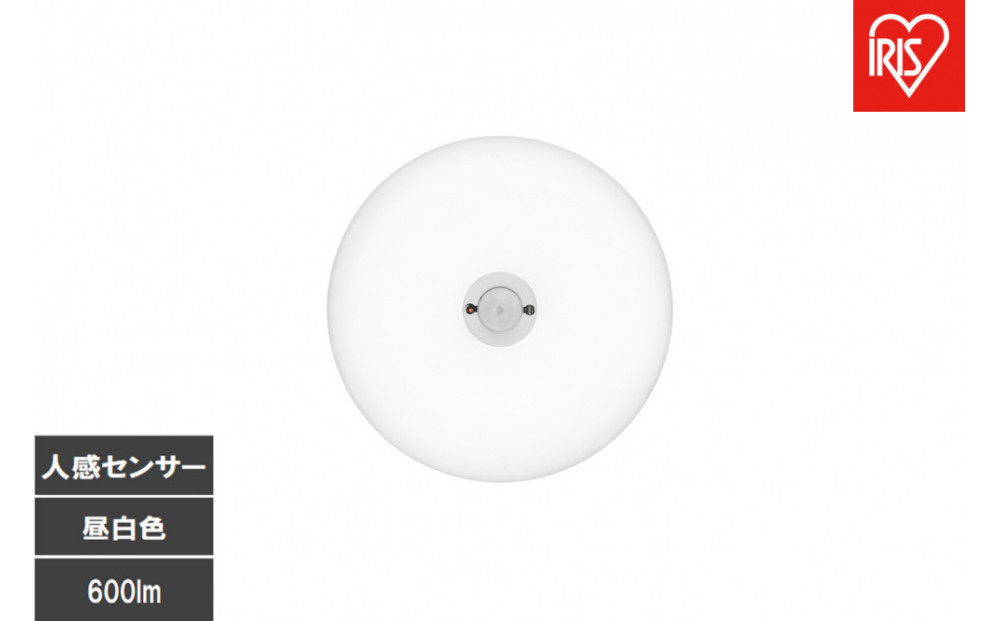 LED小型シーリングライト 人感センサー付 　昼白色 SCL6N-MS-U2