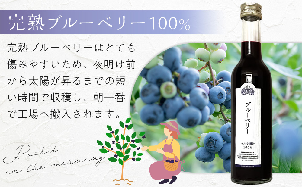 ブルーベリー原液　300ml×2本詰