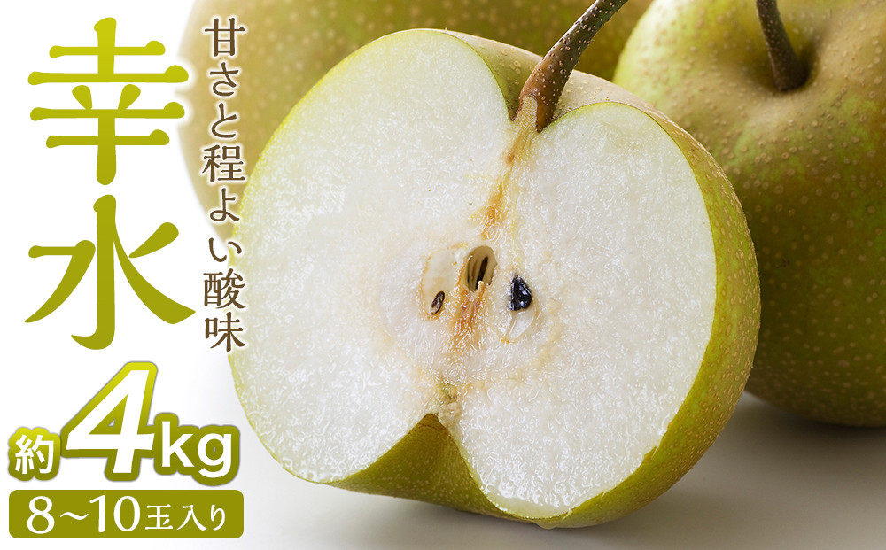梨「幸水」約4kg（8～10玉入）【松崎果樹園】