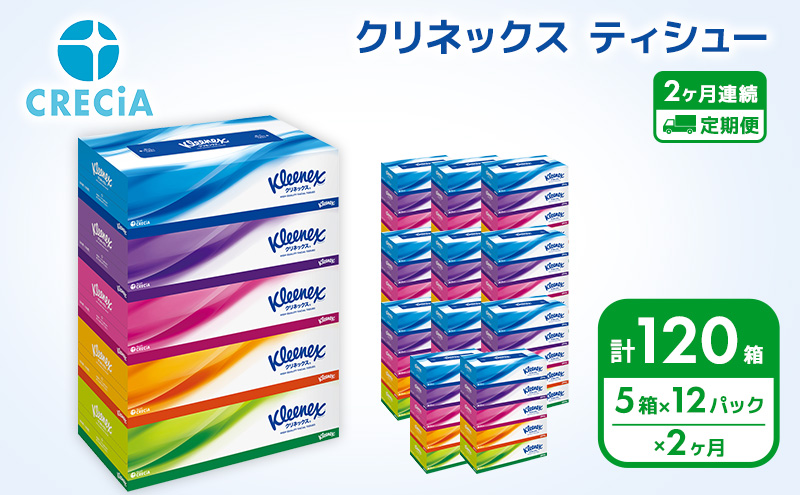 【2ヶ月連続定期便】ティッシュペーパー クリネックスティシュー 60箱 360枚（180組）5箱×12パック入り