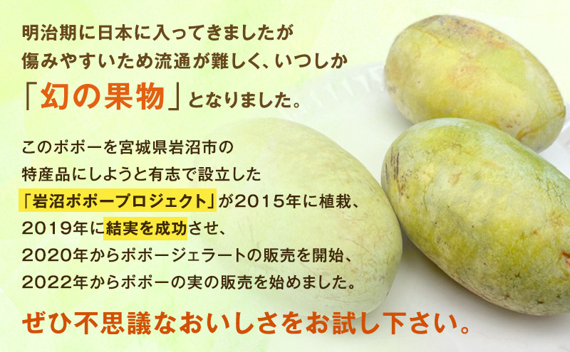 ポポーの実 200g×3個（計：約600g）