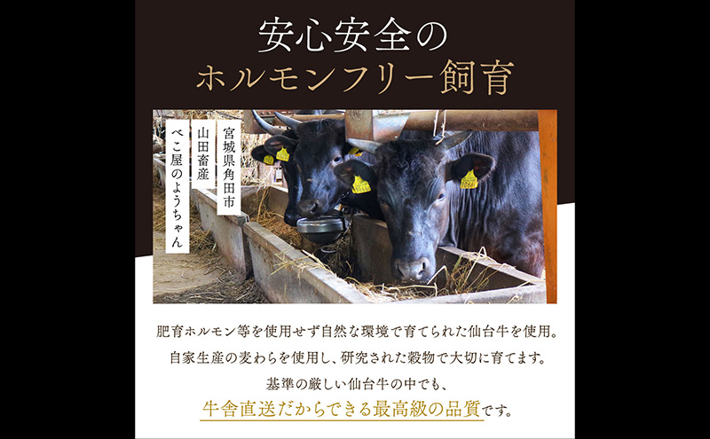 ä»å°çÃå€§éºŠç æãããã³ããŒã° 150gÃ4ïŒèš600gïŒ å·å ã®ãã åçãã³ããŒã° çèãã³ããŒã° åç å·åãã³ããŒã° å·åé£å å²©æ²Œåž ãè å å·¥å æ£è è çã¿ è質 赀身 é»éæ¯ç ãœãŒã¹ æ¥éå·å çŸå³ãã