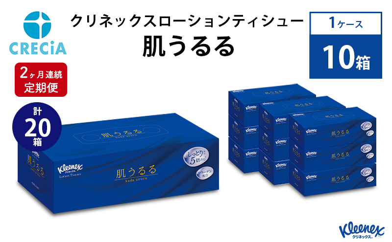 【2ヶ月連続定期便】クリネックスローションティシュー肌うるる 1ケース（10箱入り）