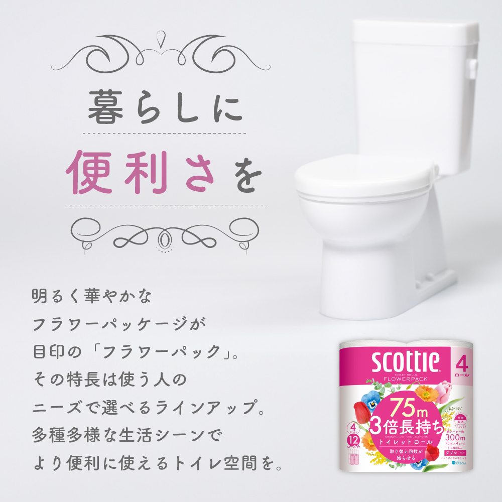 【 定期便 2ヶ月 】 トイレットペーパー ダブル スコッティ 3倍長持ち 48ロール フラワーパック 香り付き