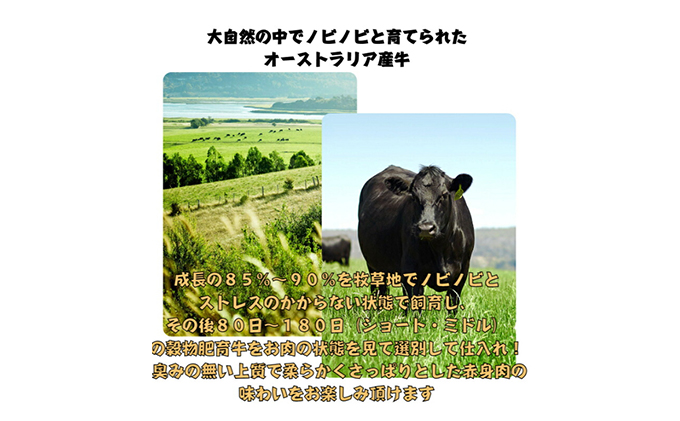 仙台牛×グレインフェッドビーフ 手ごねハンバーグ 150g×4（計600g）