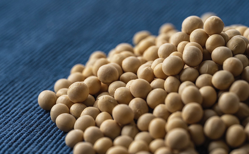 手造り 豆腐 豆乳プリン おすすめ セット 詰め合わせ とうふ プリン 5個 おぼろ豆腐 230g 3個 木綿豆腐 400g 2個 国産大豆