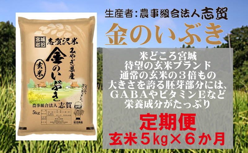 【6ヶ月定期便】宮城県岩沼市産 金のいぶき 玄米5kg