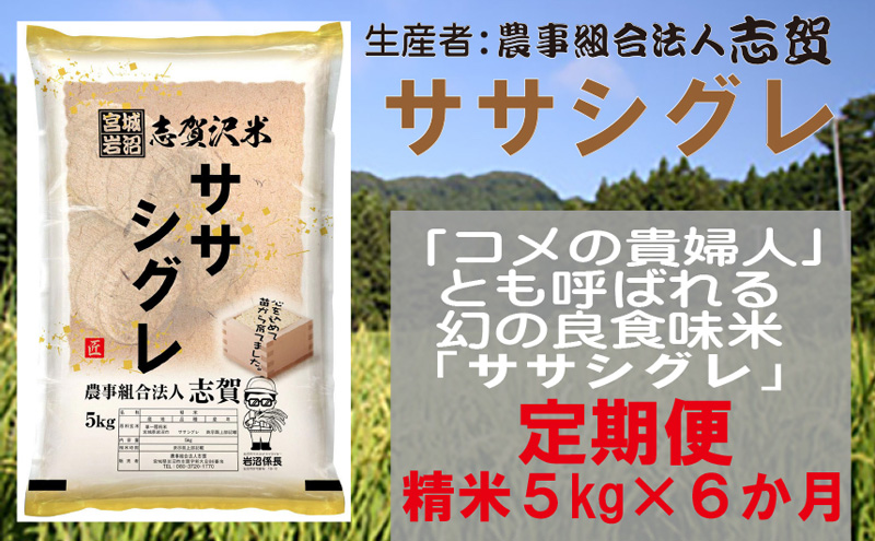 【6ヶ月定期便】宮城県岩沼市産 ササシグレ 精米5kg